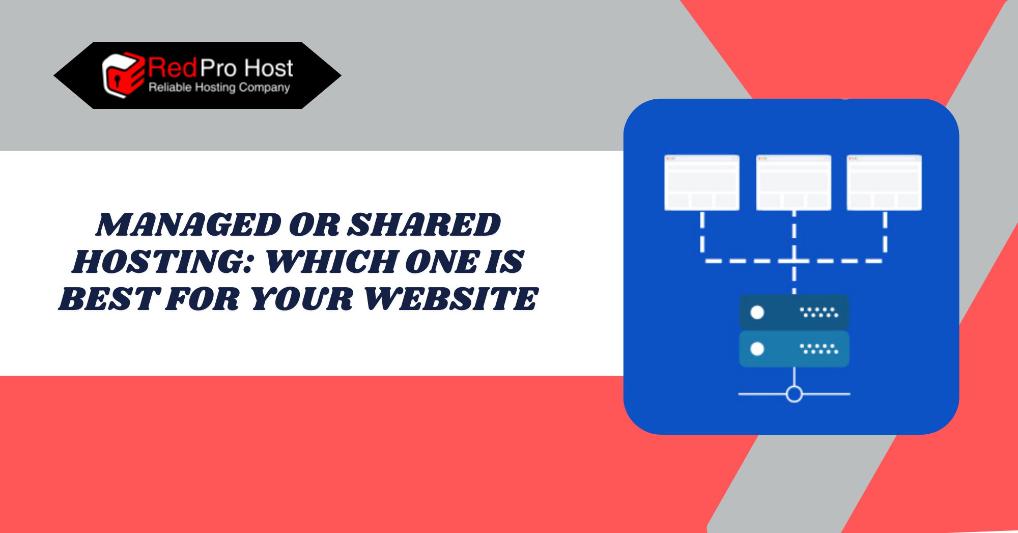 Managed or Shared Hosting Which One is Best for Your Website